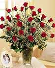 Field of Roses