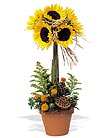 Sunflower Topiary
